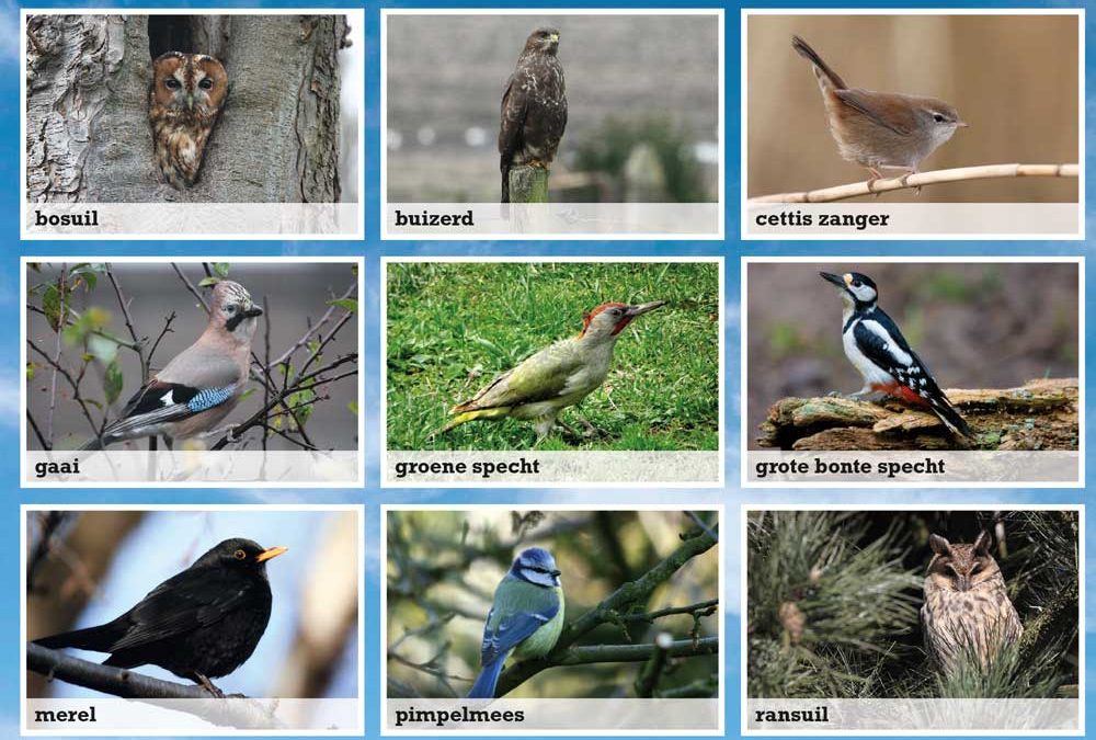 Spot de vogels op onze golfbaan